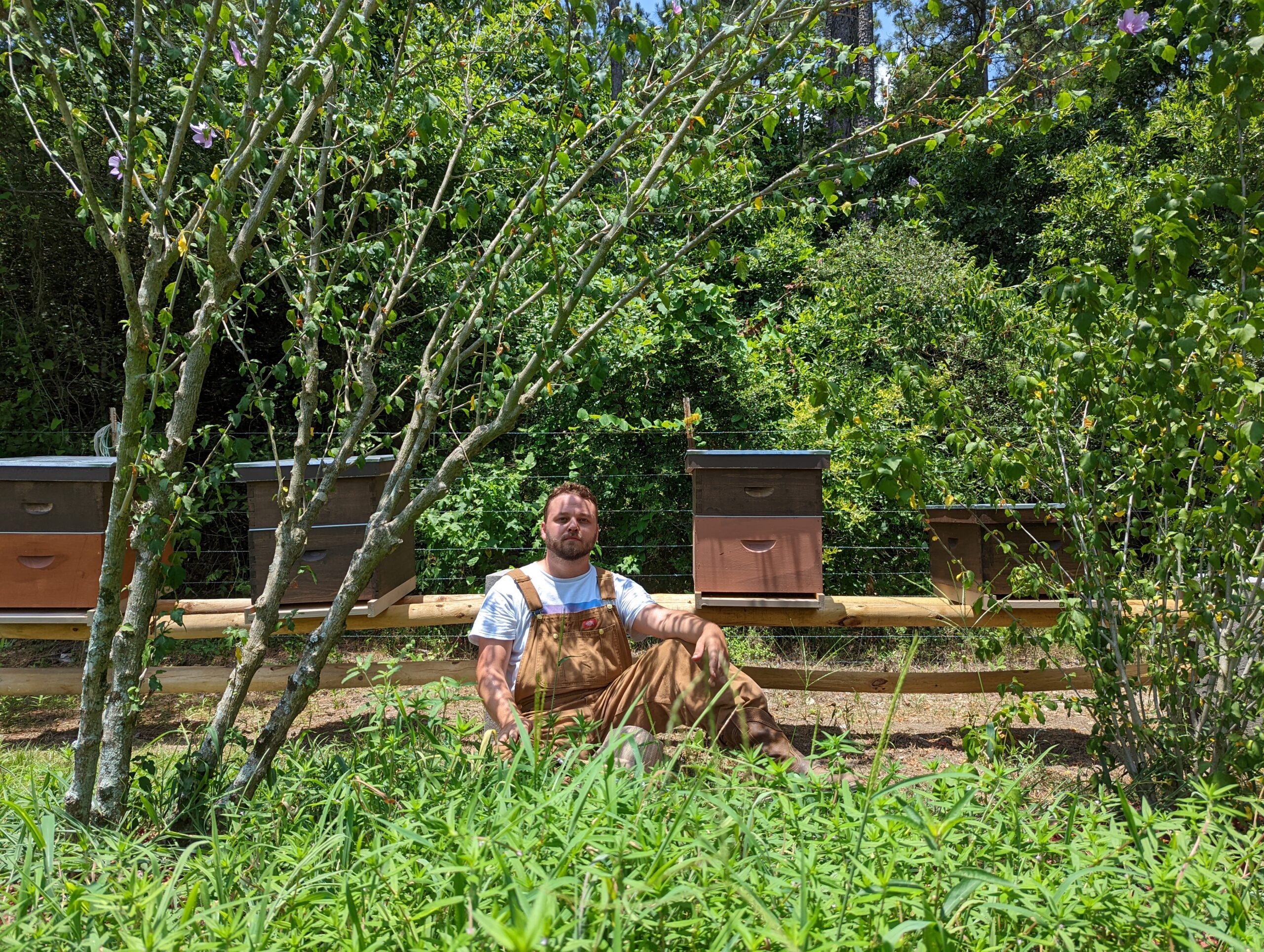 PXL_20220617_175230135